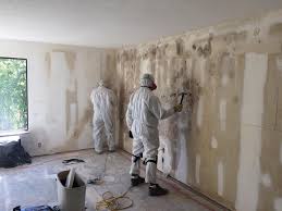 Best Biohazard Mold Removal  in Benton, IL